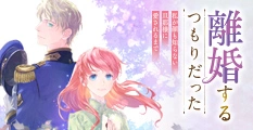 離婚するつもりだった