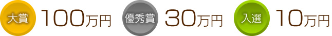 大賞：100万円 　優秀賞：30万円 　入選：10万円