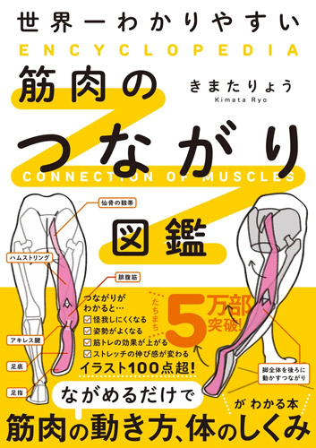 筋肉のつながり図鑑