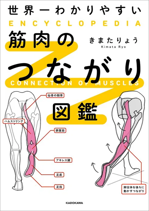 世界一わかりやすい　筋肉のつながり図鑑