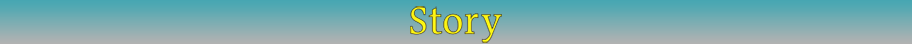 Story