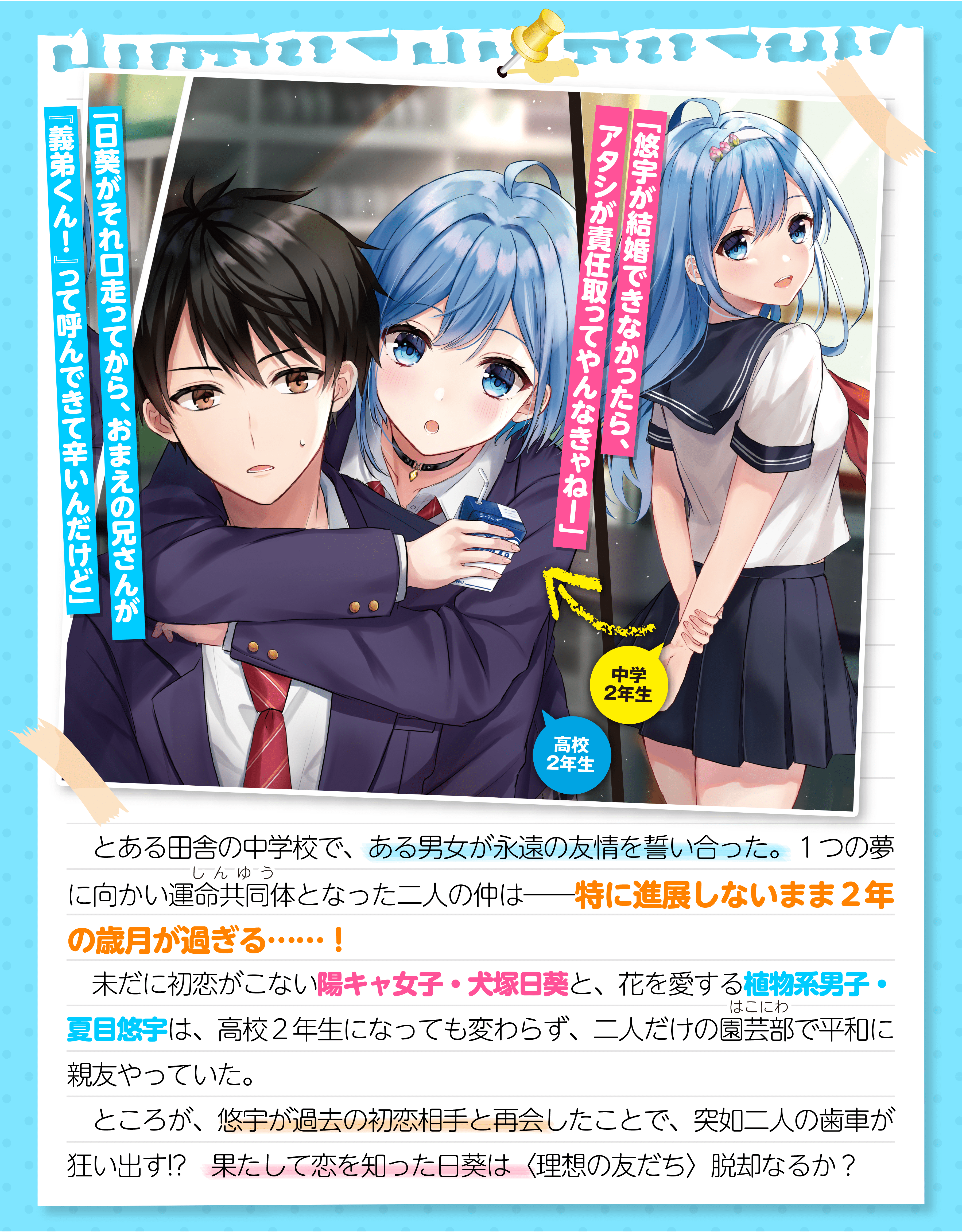 『だんじょる？』_あらすじ