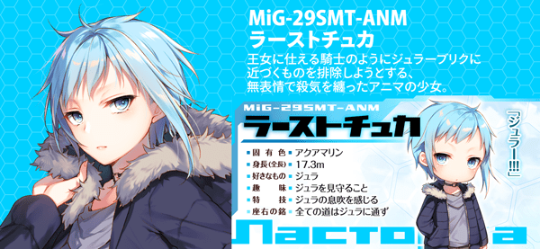 MiG-29SMT-ANM ラーストチュカ