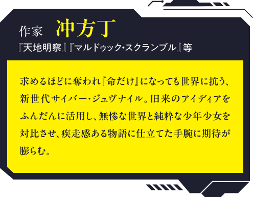作家　冲方丁『天地明察』『マルドゥック・スクランブル』等「求めるほどに奪われ『命だけ』になっても世界に抗う、新世代サイバー・ジュヴナイル。旧来のアイディアをふんだんに活用し、無惨な世界と純粋な少年少女を対比させ、疾走感ある物語に仕立てた手腕に期待が膨らむ。」