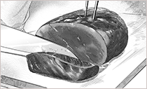 鹿肉のロティ