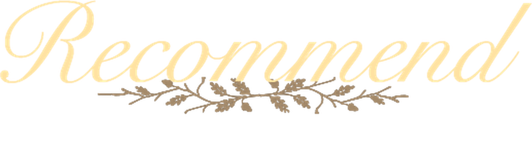 Recommend 推薦コメント