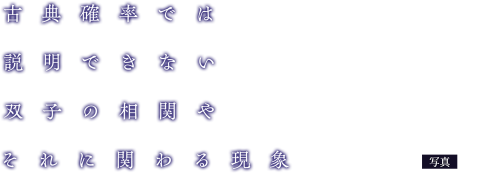 著／東堂杏子　写真／桜雨