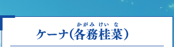 ケーナ　各務桂菜（かがみけいな）