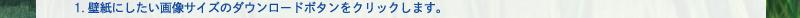 1.壁紙にしたい画像サイズのダウンロードボタンをクリックします。