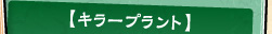 キラープラント