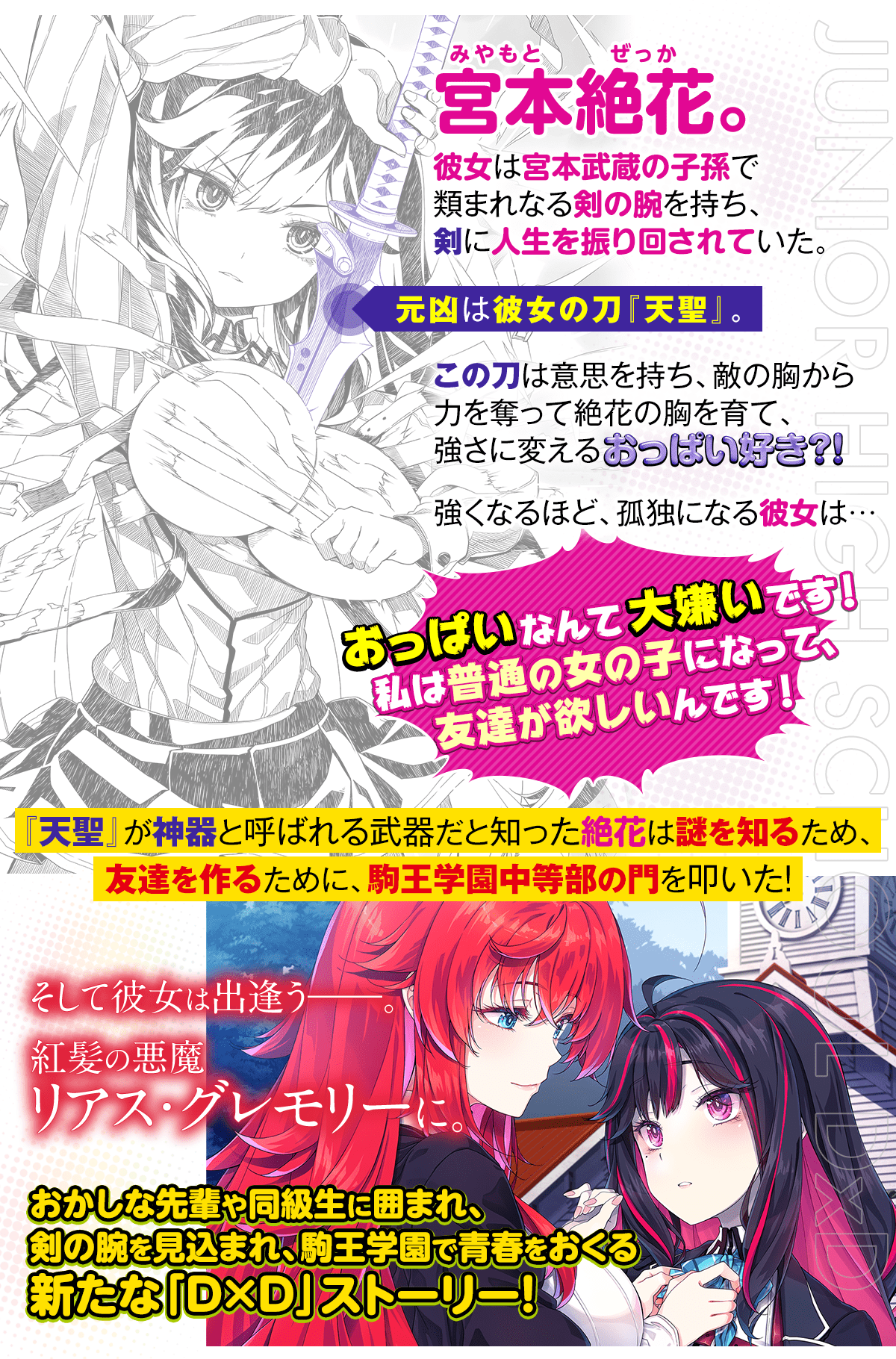 『ジュニアハイスクールD×D』あらすじ