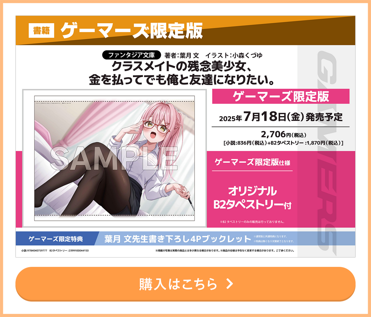 限定版特典 ゲーマーズ オリジナルB2タペストリー 