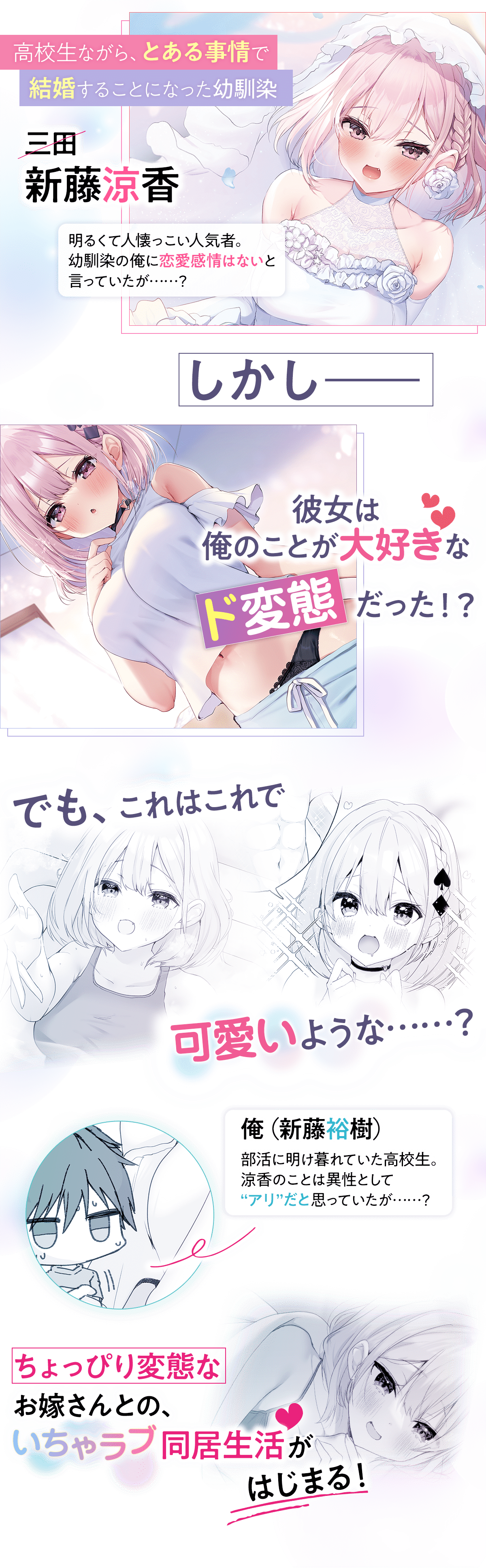 『俺のお嫁さん、変態かもしれない』あらすじ