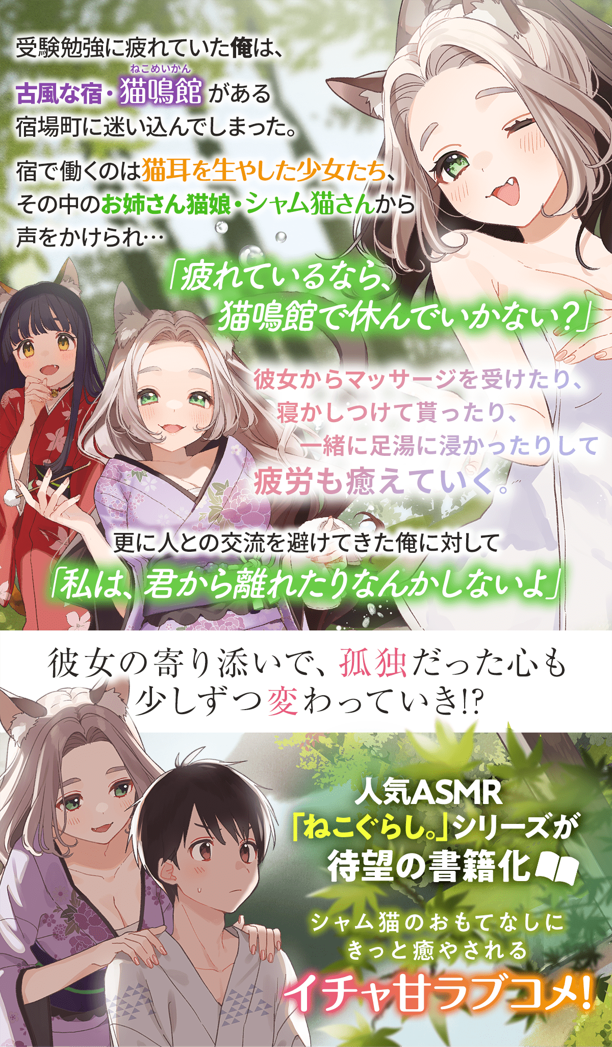 『ねこぐらし。』あらすじ