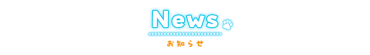 最新情報