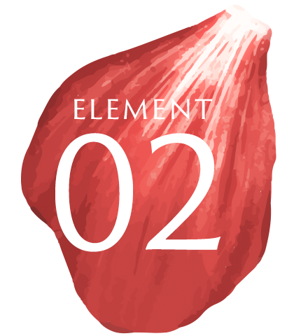Element02