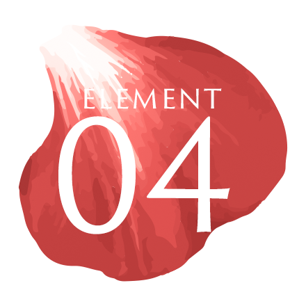 Element04
