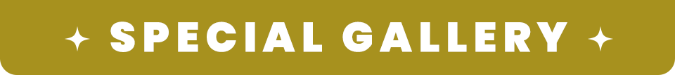 SPECIAL GALLERY