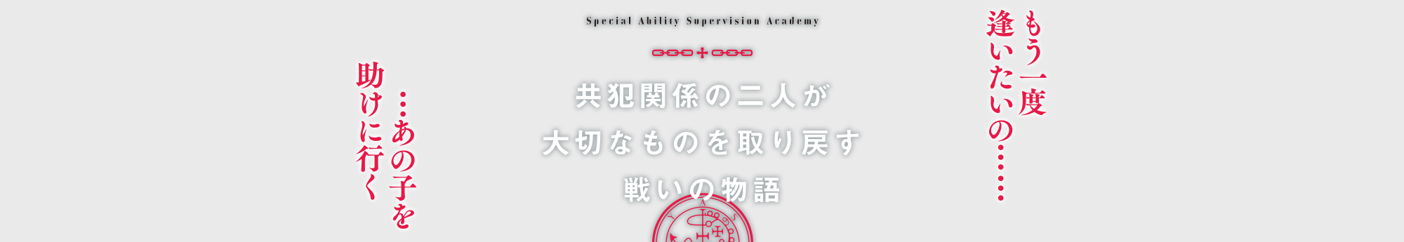 共犯関係の二人が大切なものを取り戻す戦いの物語