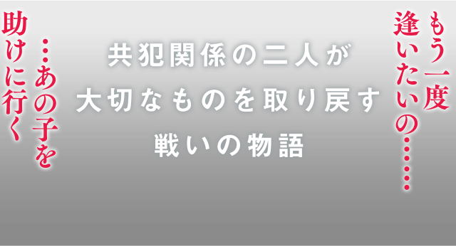 共犯関係の二人が大切なものを取り戻す戦いの物語