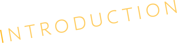 INTRODUCTION