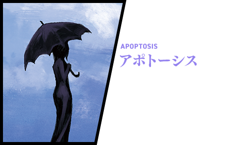 アポトーシス 過去最も恐れられた都市伝説、通称、日傘の魔女。春樹達を《フォールド》にした張本人であり、現役を退いた今も暗躍を続けている。