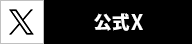 公式X
