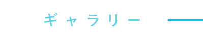 ギャラリー