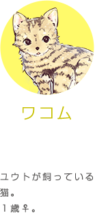ワコム ユウトが飼っている猫。１歳♀。