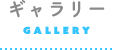 ギャラリー