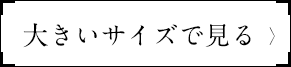 大きいサイズで見る