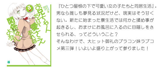 MF文庫J『お兄ちゃんだけど愛さえあれば関係ないよねっ』3