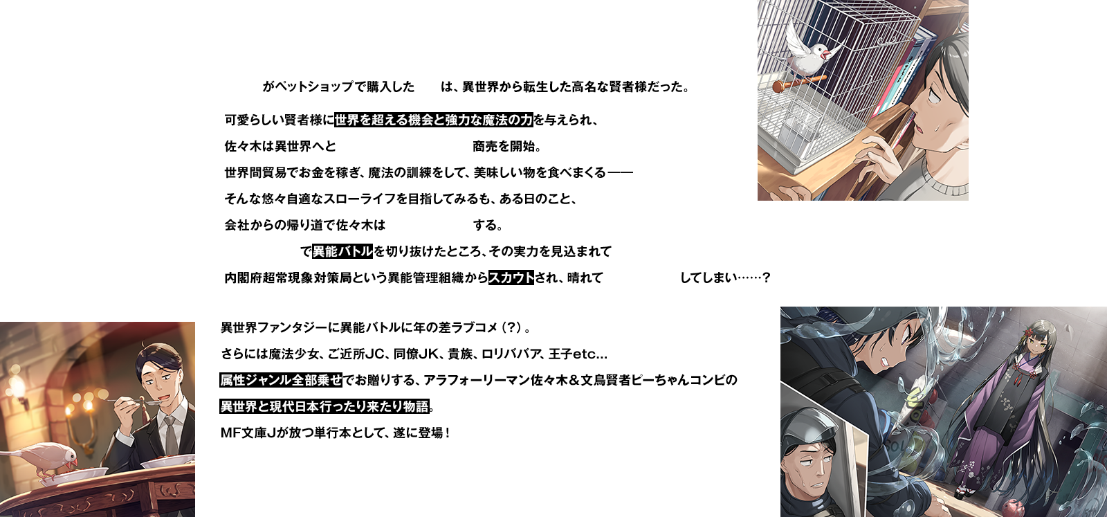 佐々木がペットショップで購入した文鳥は、異世界から転生した高名な賢者様だった。可愛らしい賢者様に世界を超える機会と強力な魔法の力を与えられ、佐々木は異世界へと現代の物品を持ち込んで商売を開始。世界間貿易でお金を稼ぎ、魔法の訓練をして、美味しい物を食べまくる――そんな悠々自適なスローライフを目指してみるも、ある日のこと、会社からの帰り道で佐々木は異能力者と遭遇する。賢者印の魔法で異能バトルを切り抜けたところ、その実力を見込まれて内閣府超常現象対策局という異能管理組織からスカウトされ、晴れて転職先が決定してしまい……？異世界ファンタジーに異能バトルに年の差ラブコメ（？）。さらには魔法少女、ご近所JC、同僚JK、貴族、ロリババア、王子etc...属性ジャンル全部乗せでお贈りする、アラフォーリーマン佐々木＆文鳥賢者ピーちゃんコンビの異世界と現代日本行ったり来たり物語。MF文庫Jが放つ単行本として、遂に登場！