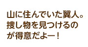 山に住んでいた翼人。捜し物を見つけるのが得意だよー！