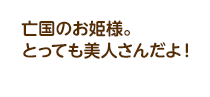 亡国のお姫様。とっても美人さんだよ！