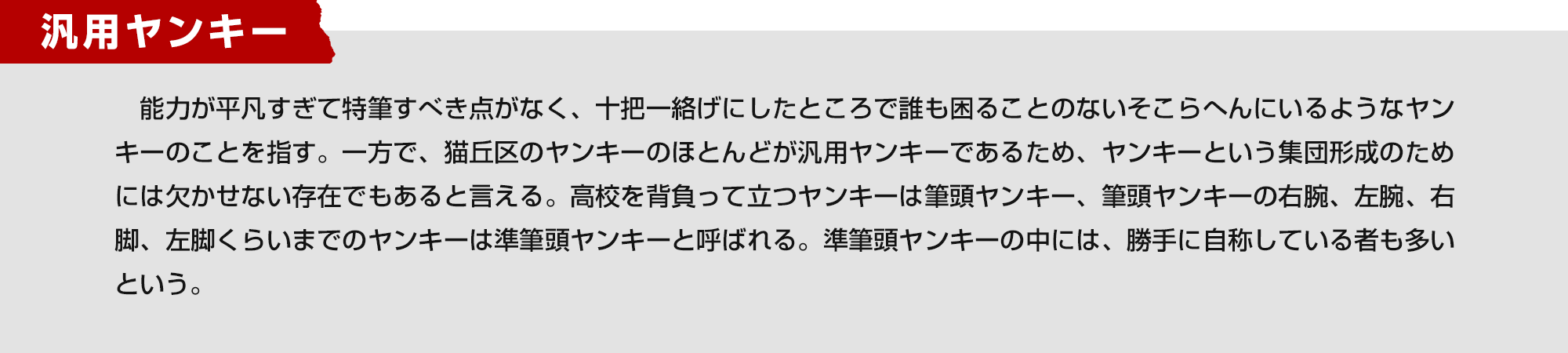 汎用ヤンキー　能力が平凡すぎて特筆すべき点がなく、十把一絡げにしたところで誰も困ることのないそこらへんにいるようなヤンキーのことを指す。一方で、猫丘区のヤンキーのほとんどが汎用ヤンキーであるため、ヤンキーという集団形成のためには欠かせない存在でもあると言える。高校を背負って立つヤンキーは筆頭ヤンキー、筆頭ヤンキーの右腕、左腕、右脚、左脚くらいまでのヤンキーは準筆頭ヤンキーと呼ばれる。準筆頭ヤンキーの中には、勝手に自称している者も多いという。