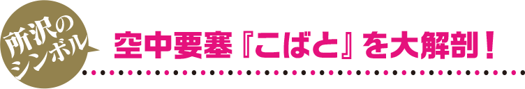 空中要塞『こばと』を大解剖！