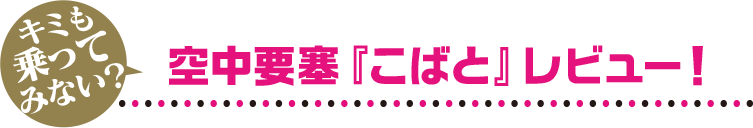 空中要塞『こばと』レビュー！