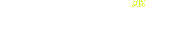 消息を探るためにキャンパスを尋ね回った夏樹が掴んだのは、 彼女の奔放な交際歴と 「あの子は、冬は学校に来ないよ」という 元彼の