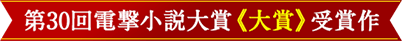 第29回電撃小説大賞 金賞≫受賞作