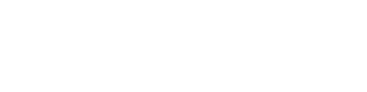 明治も終わりの頃である。病死した父が商っていた家業を継ぐため、東京から金沢にやってきた１７歳の菖子。