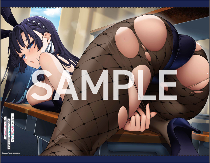 ゲーマーズB2タペストリー イメージ