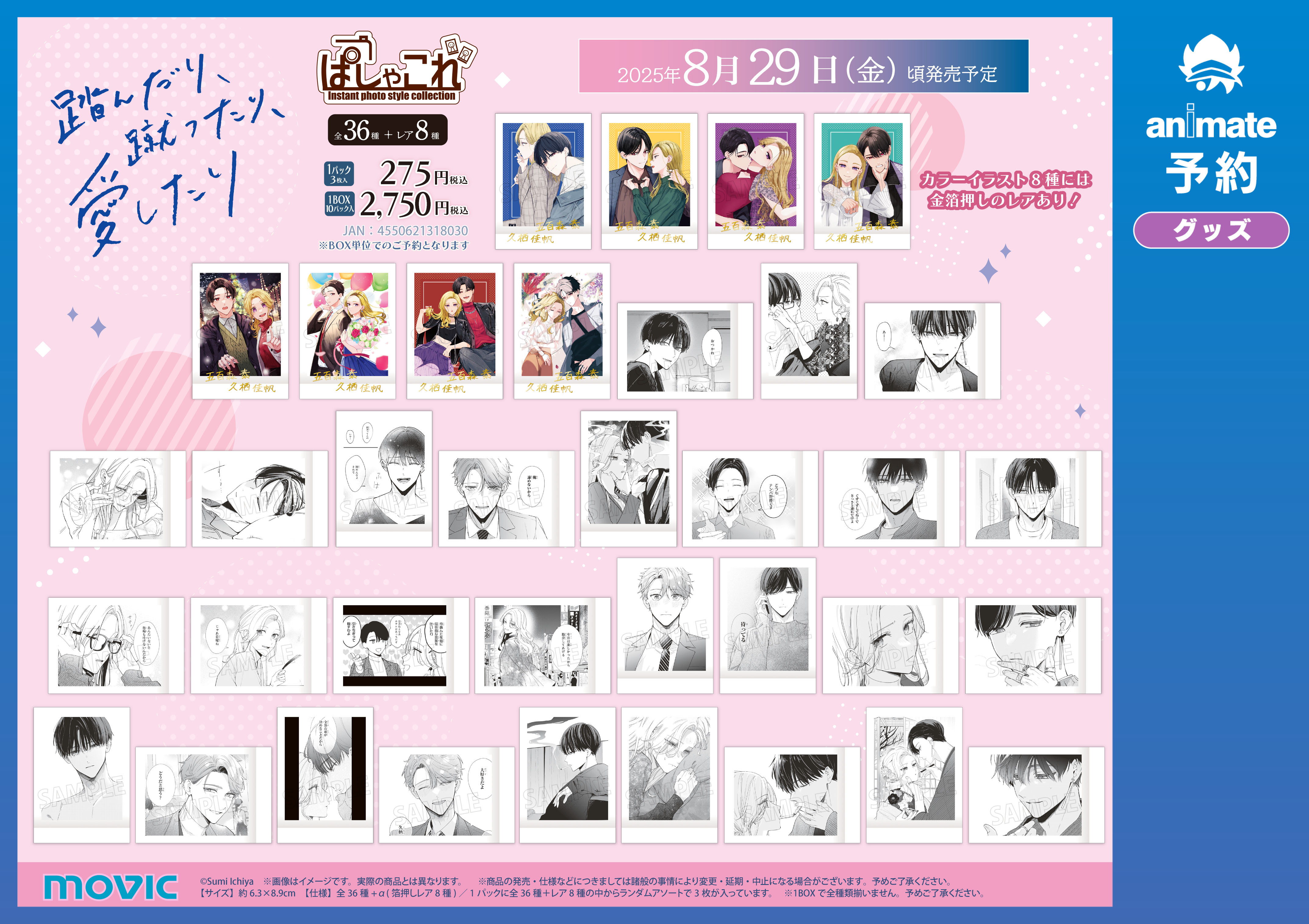 シルフWEB化 8周年！！ | 「シルフ」公式サイト