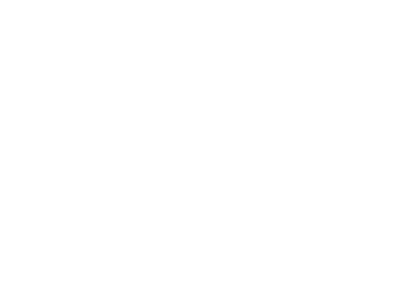 作家の父と弟と暮らす少年・未智留（みちる）。 凡庸な両親に育てられた少女・残花（ざんげ）。 自らをほんの少しだけ優れた、でも大したことのない存在と断じる二人は、取るに足らぬ同級生を見下ろしながら、卑俗で平凡な住民を横目に見ながら、生活するにはちょっと不便で色々と物足りないこの町で、ほんの少しの諦観とともに退屈で停滞したささやかな日々を過ごしていた。 けれど。 ある日の未智留の一言をきっかけに、二人の平穏な関係は唐突に終わりを迎える。 近親相姦、同性愛、虐待――。 少年が背負う過酷な真実が肌を晒した時、二人を中心とした歪な“家族”の物語が幕を開ける。 時代の寵児・もちぎが己の魂から削り出した、たった一度だけ描くことの許された小説。