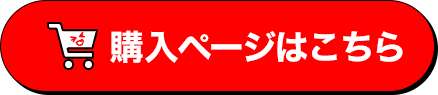 購入ページはこちら